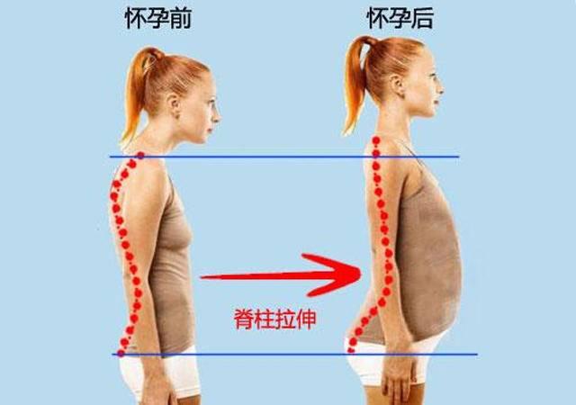 生娃后长高3厘米，奇妙的身体变化与体验分享