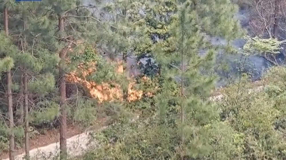 游客抽烟引发火灾，河南一景区卫生间惨遭波及