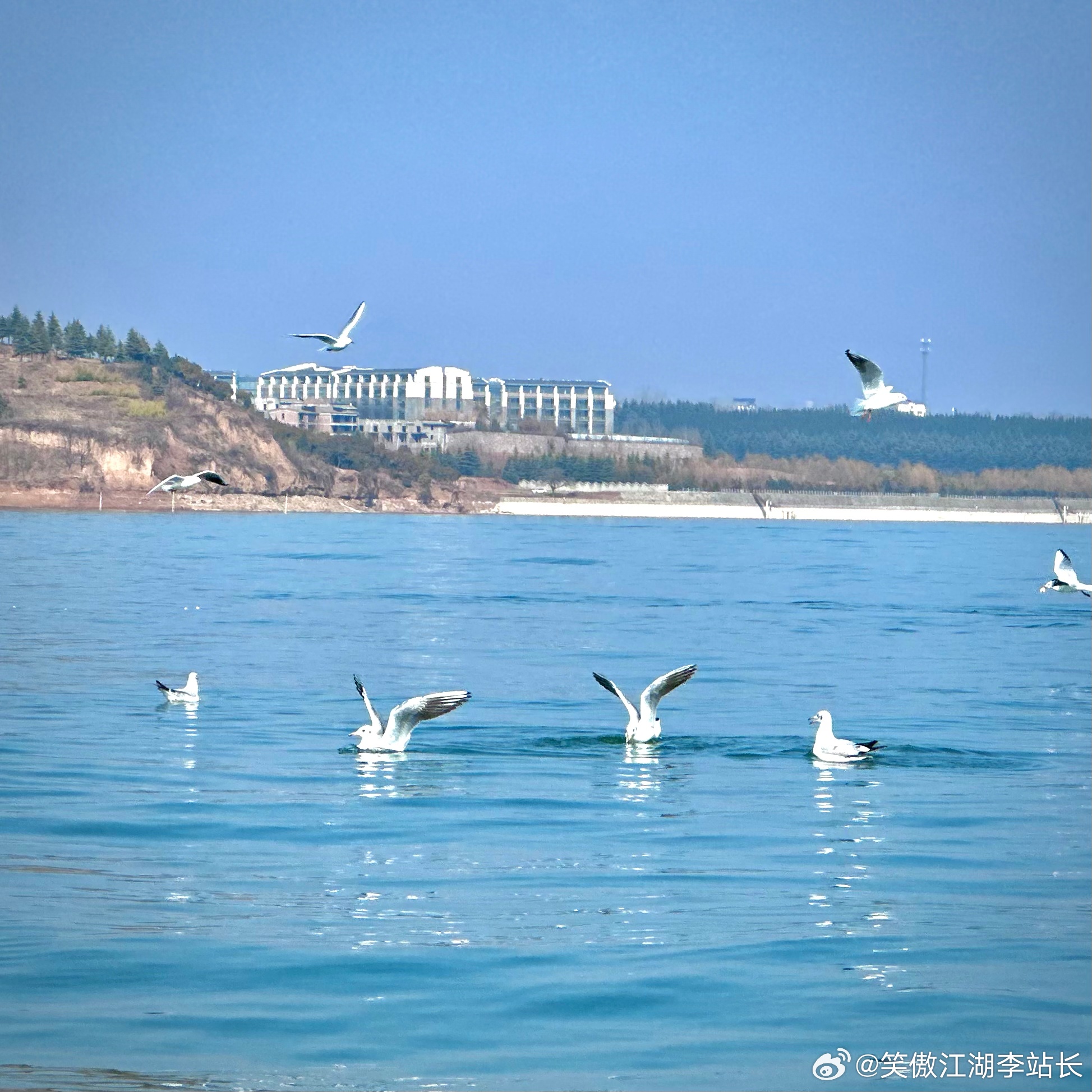 洛阳与海，古今交融的浪漫情怀