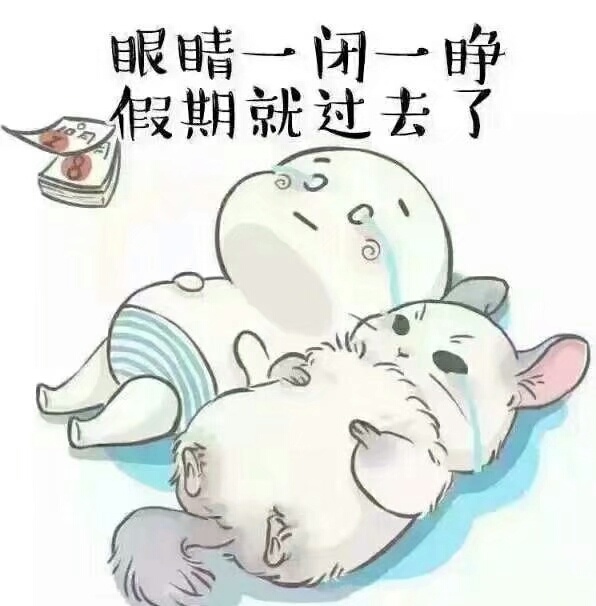 假期最后一天了，回首与前行