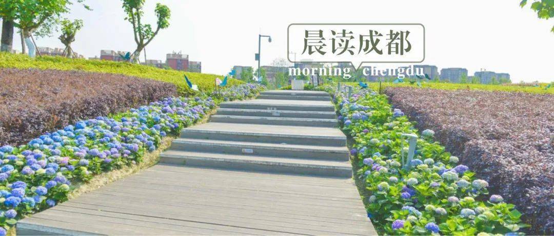 成都母亲节户外大屏太超前了！