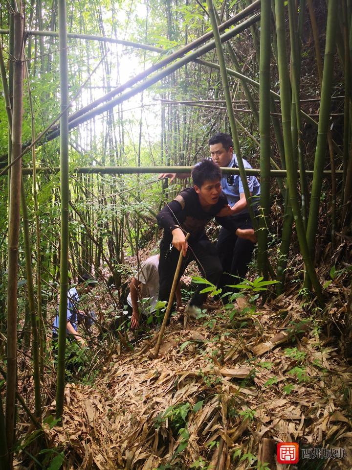 深山隐世七年，男子手搓成就三百辆爱车