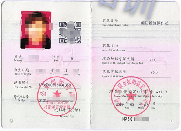 游乐设备Y2证，行业准入的关键要素与趋势分析