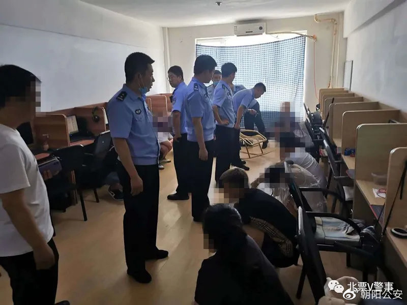 关于侵犯信息案抓获151人的深度报道