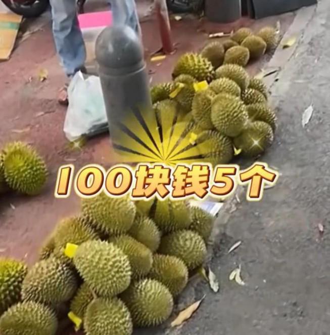 榴莲进价最低多少？全面解析榴莲市场与价格走势