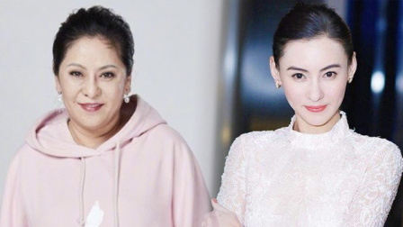 张柏芝与向太，一段复杂而微妙的评价历程