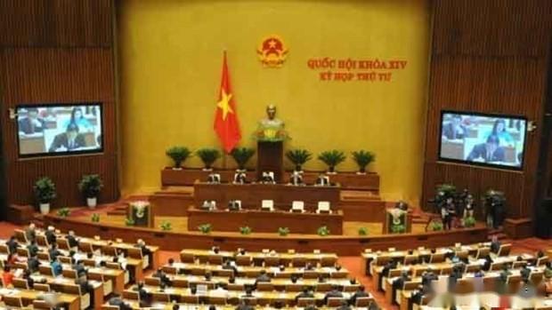 越南取消计划生育政策的原因深度解析