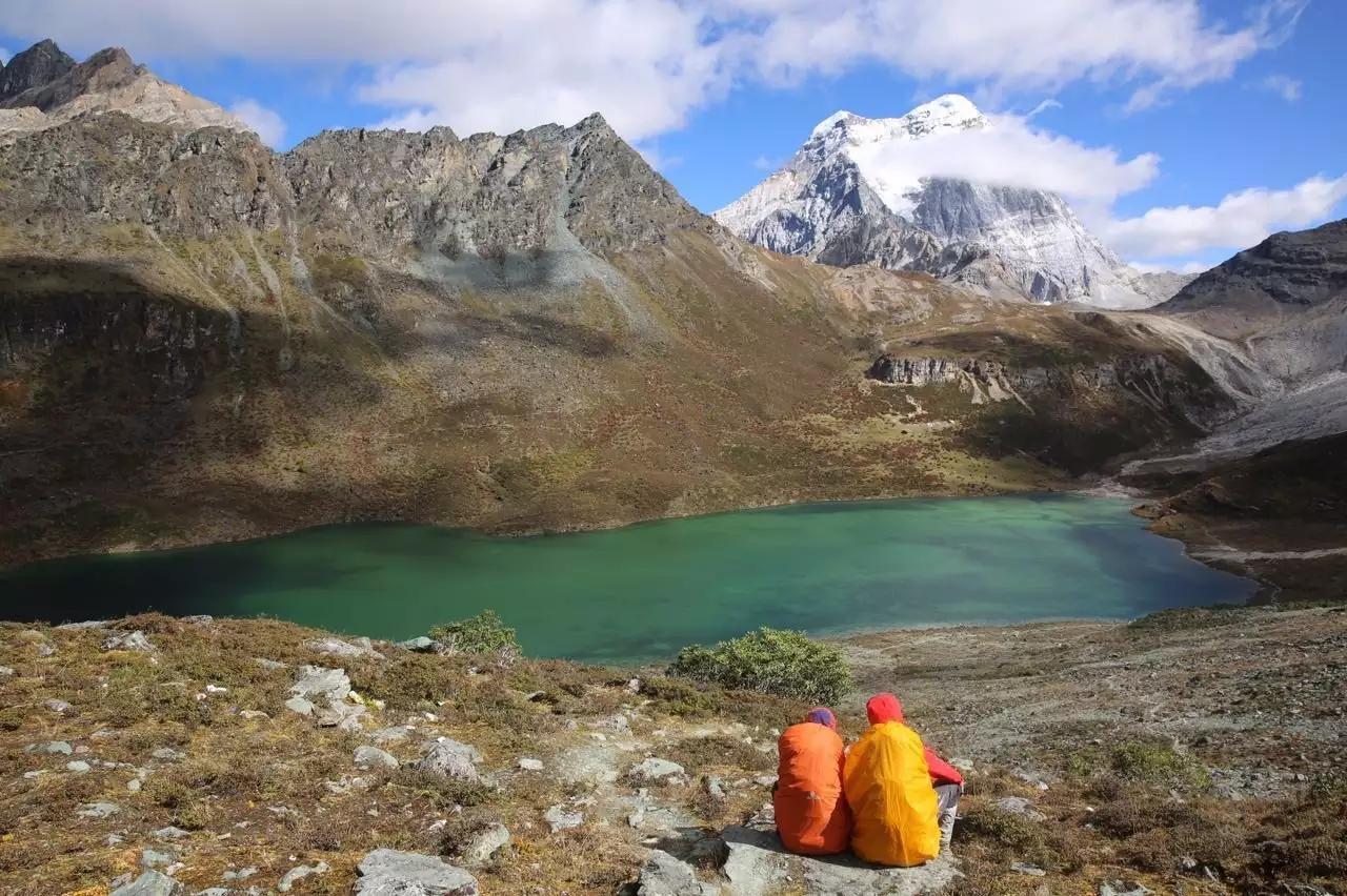 男子湖畔遭遇蛇咬惊魂记