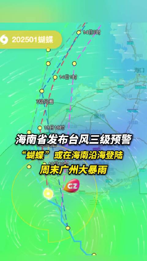 台风蝴蝶在海南登陆，一场自然力量的展现