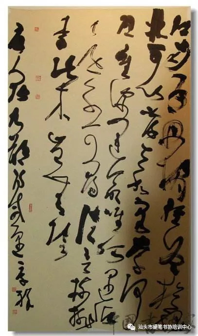 艮草书的艺术魅力